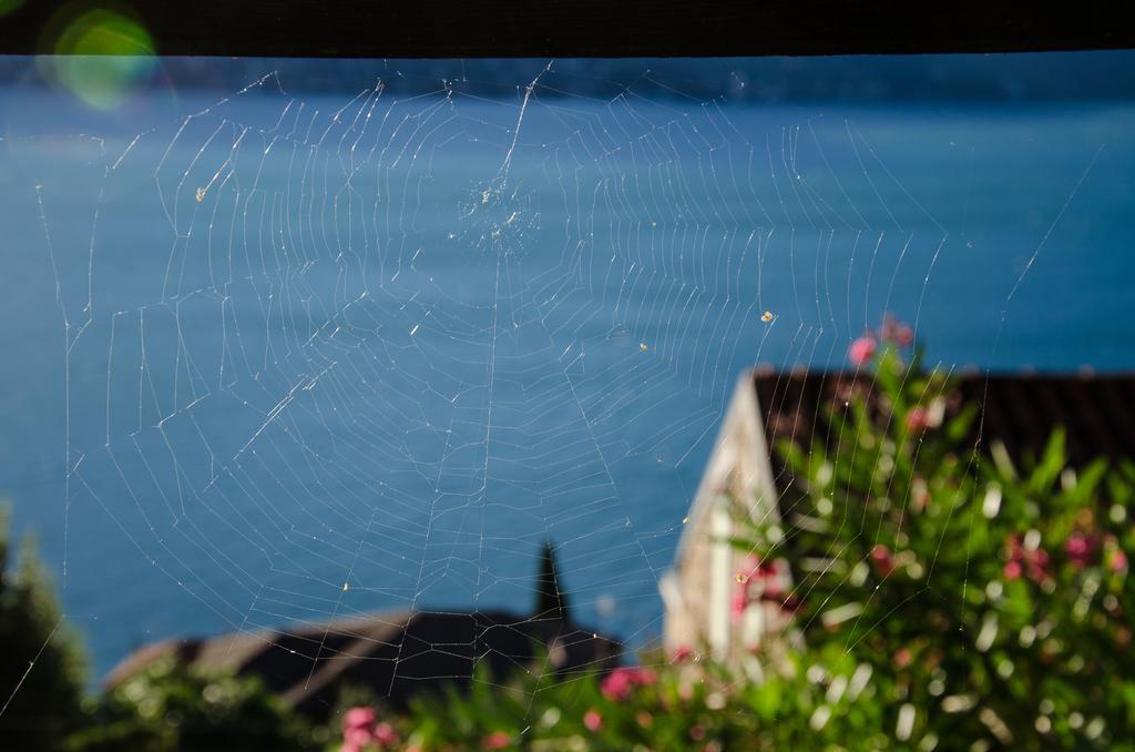 Anma Cottages Sole Lago Аккуазериа Экстерьер фото